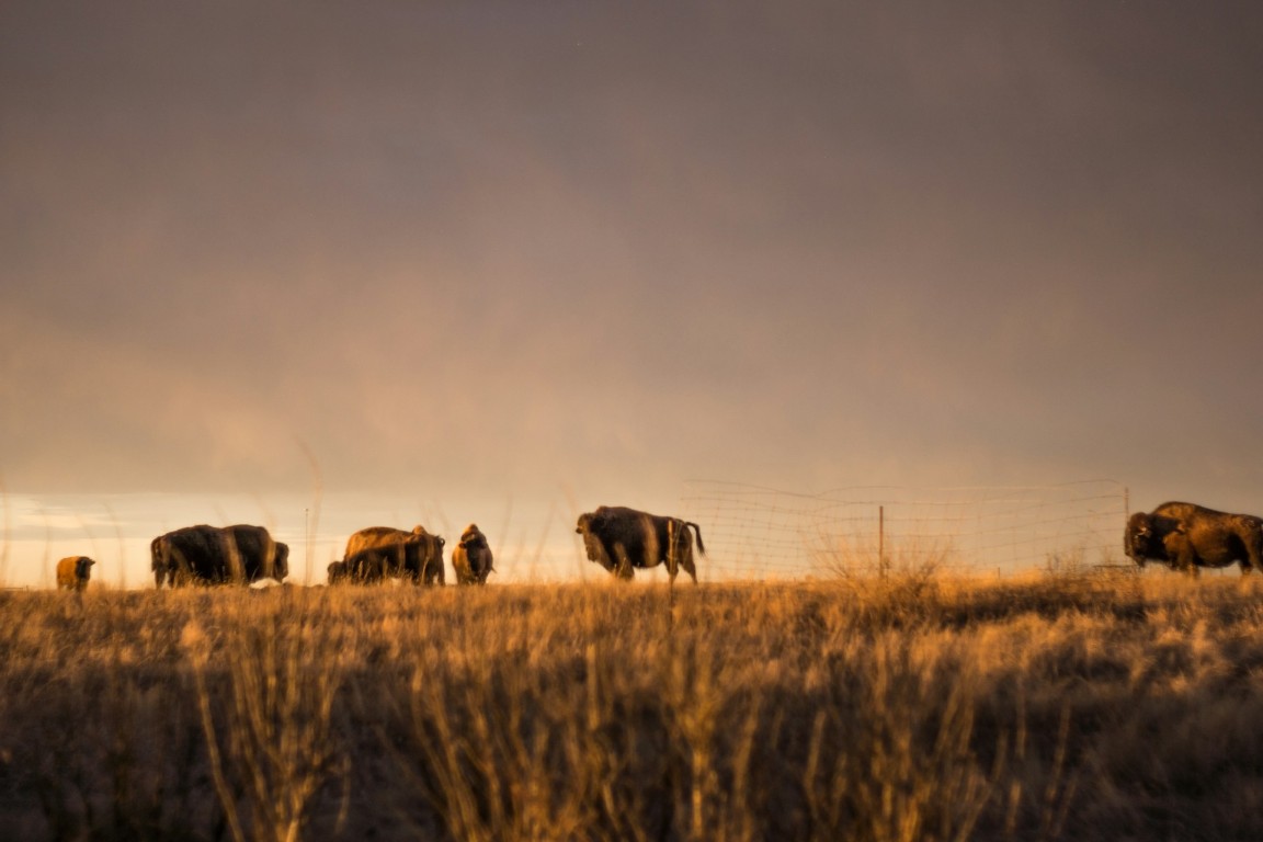 Saskatchewan