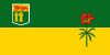 Regina Flag